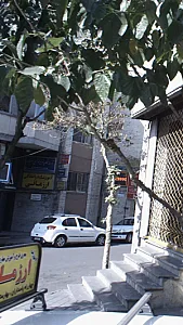 آموزشگاه رانندگی ارزمانی