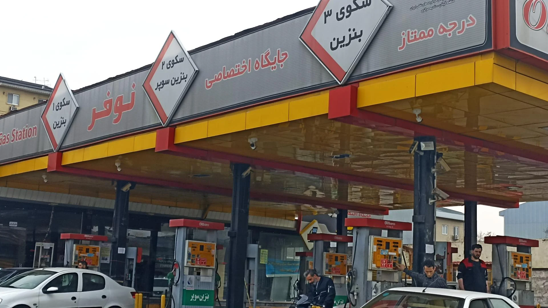 جایگاه ممتاز نوفر رشت