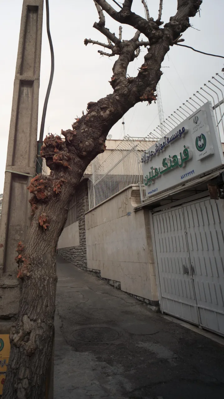 موسسه آموزش عالی آزاد فرهنگ متین - تصویر 2