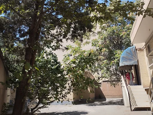 شرکت خدمات حمایتی کشاورزی