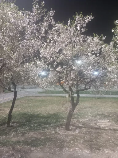 بوستان باغشمال