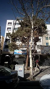 موسسه زبان ایران مهر