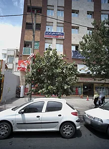 زبانکده ملی ایران
