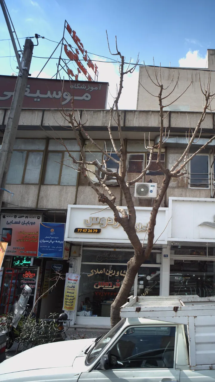 آموزشگاه موسیقی پرهام - تصویر 3