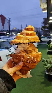 بستنی فردین رشت