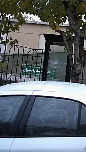 کانون زبان ایران