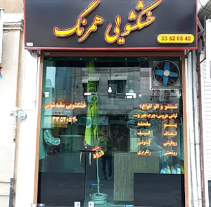 خشکشویی همرنگ