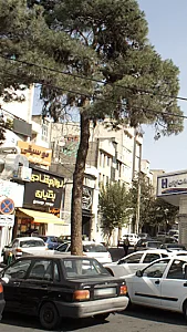 موسیقی(فن آوای هنر)