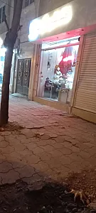 خشکشویی آرتا