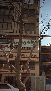 خانه ریاضی