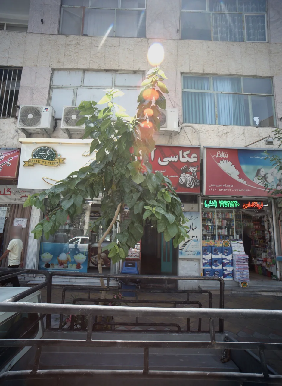 آموزشگاه موسیقی بیان