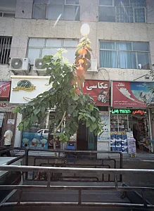 آموزشگاه موسیقی بیان