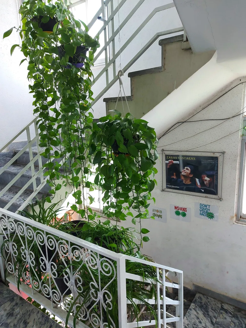 آموزشگاه زبان گستران - تصویر 3