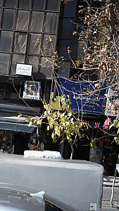 آموزشگاه موسیقی و هنرهای تجسمی نوجویان