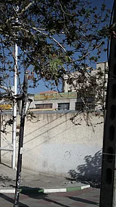 آموزشگاه زبان دخترانه پیوند