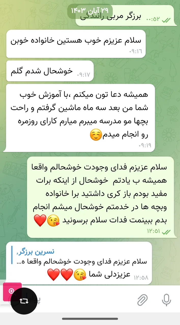 نسرین برزگری مربی رانندگی - تصویر 2
