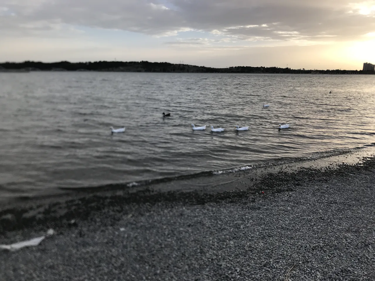 ساحل سنگ ریزه - تصویر 2