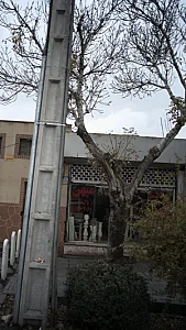 سنگ میهن