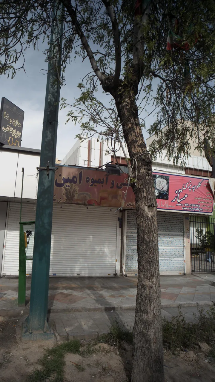 کلوچه پزی ممتاز - تصویر 3