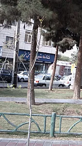 خانه شیرینی رز
