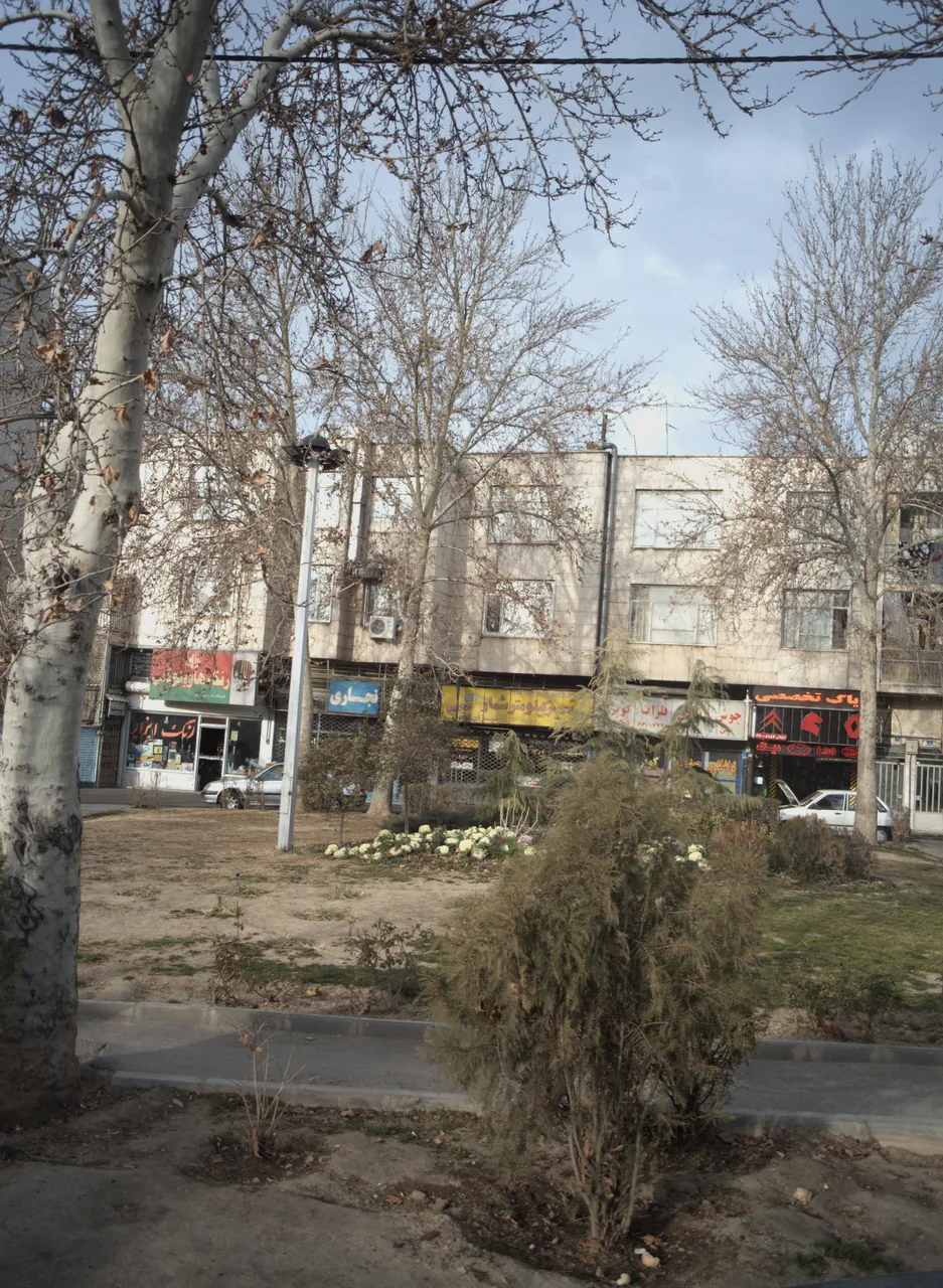 نجاری امید