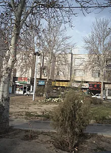 نجاری امید