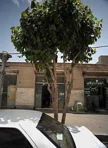 شیشه و آیئنه برادران غفابی