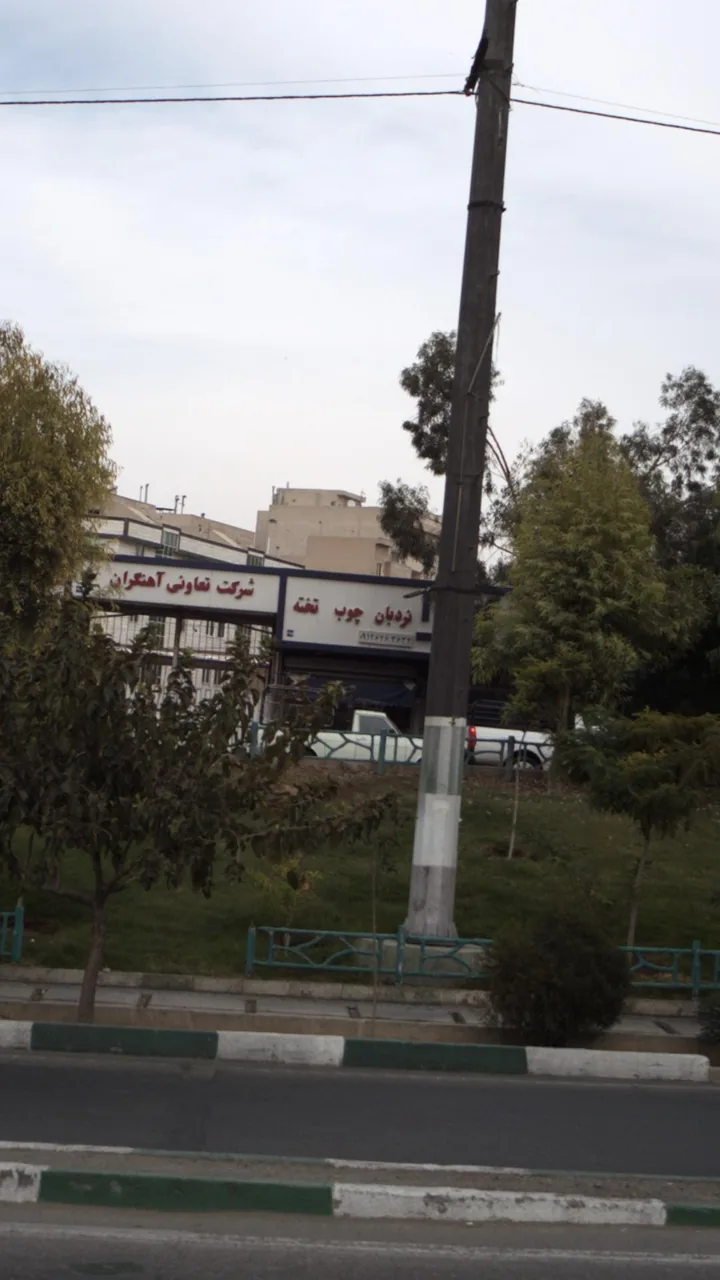 نردبان چوب تخته