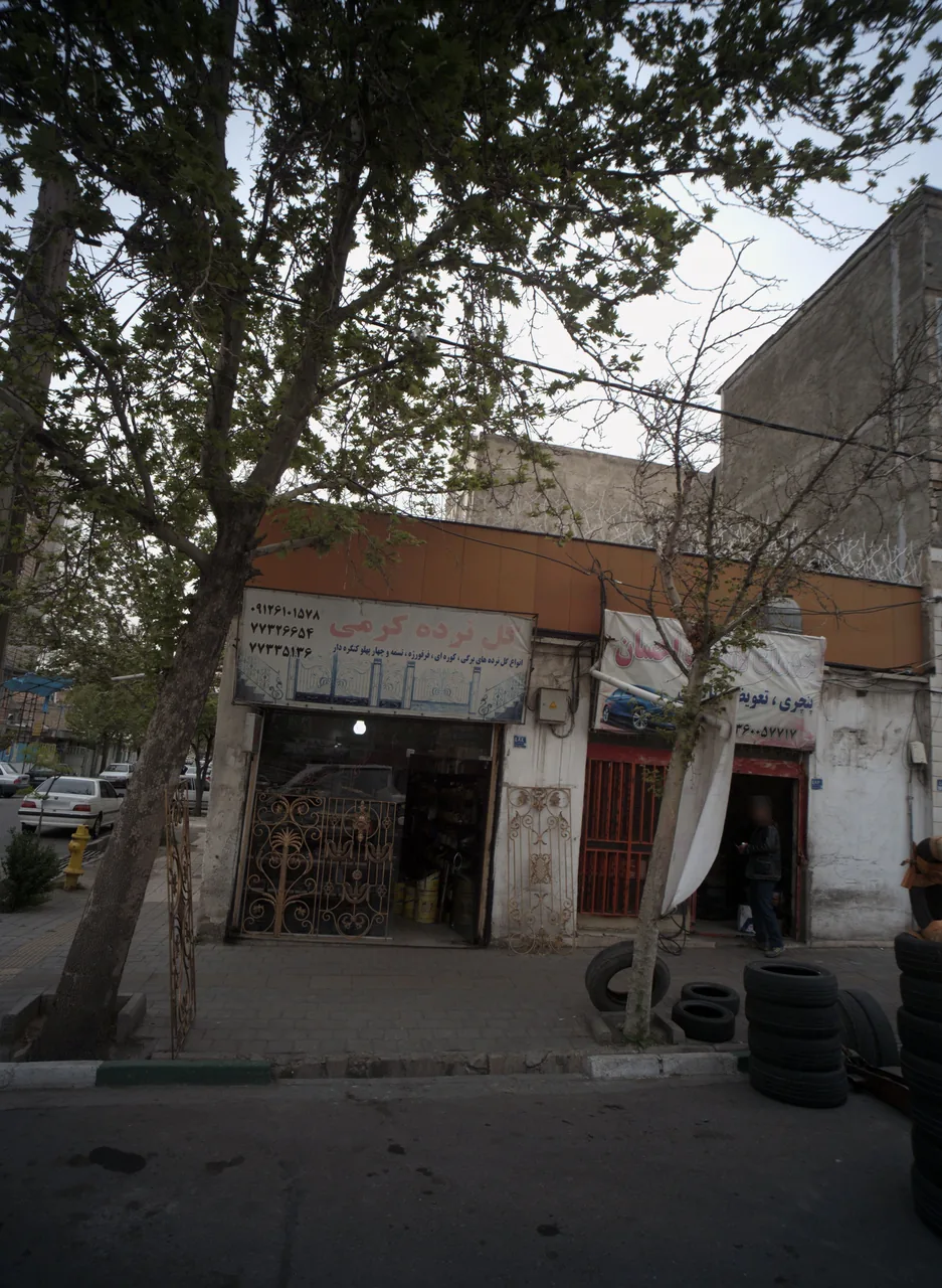 گل نرده کرمی - تصویر 3