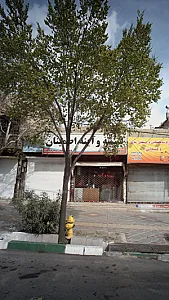 شیشیه وآینه اطمینان