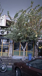 ضایعات آهن پیرهادی