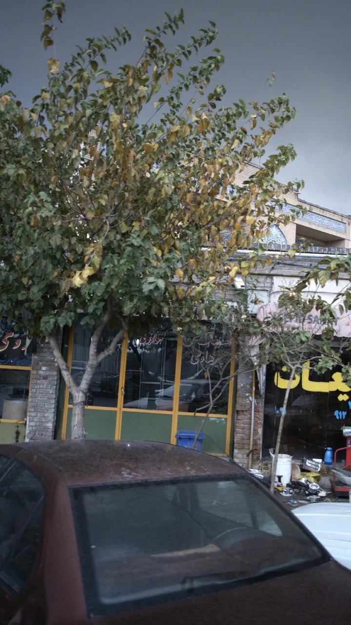 ضایعات آهن پیرهادی - تصویر 2