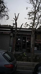 شیشه خانه سبز