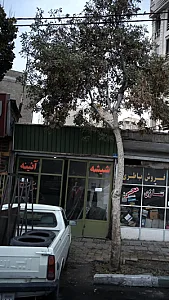 کارگاه شیشه و آئینه