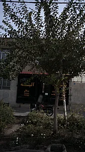 شیشه و آئینه سخایی