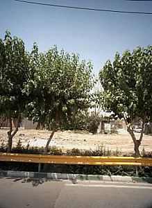تعمیرات مبلمان میری