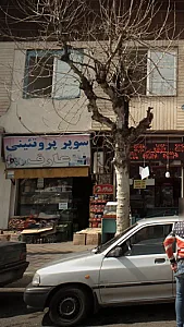 سوپر پروتئینی عارف