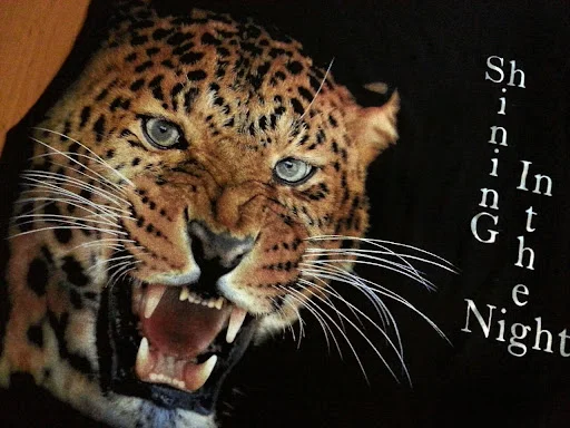 چاپ تخصصی روی پارچه( گونش)