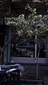شیشه رنجبر