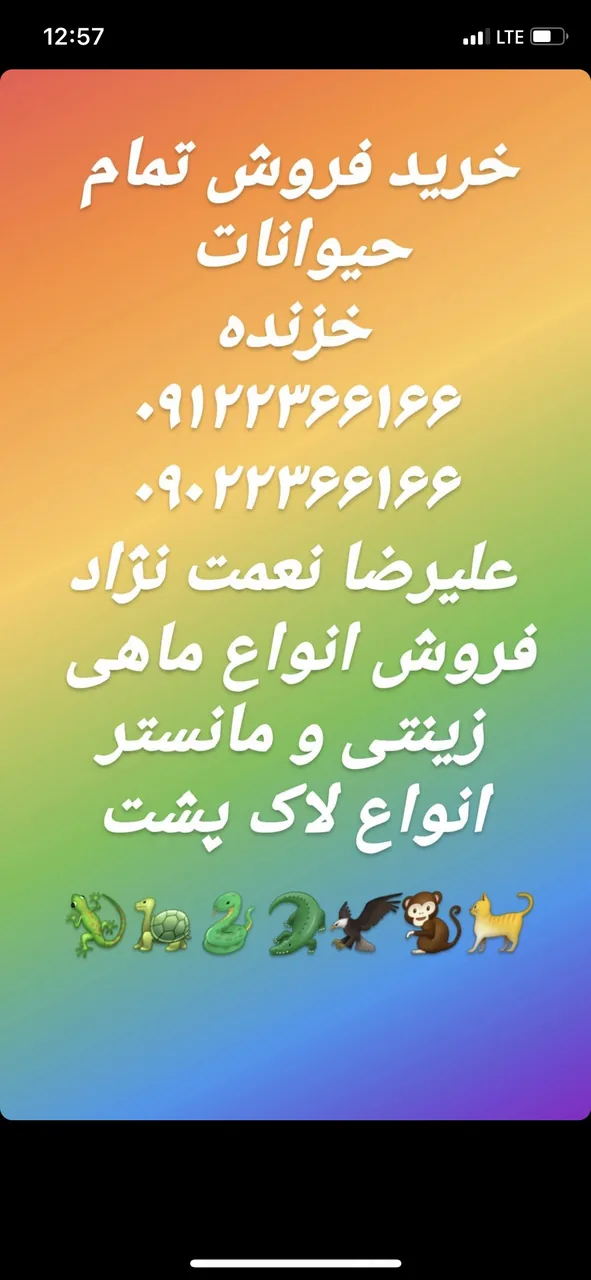 مجموعه خزنده ایران