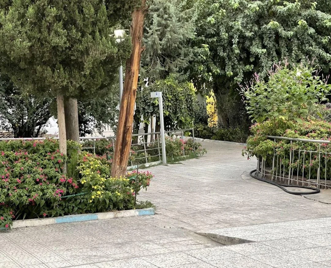 فیزیوتراپی کارنیک - تصویر 2