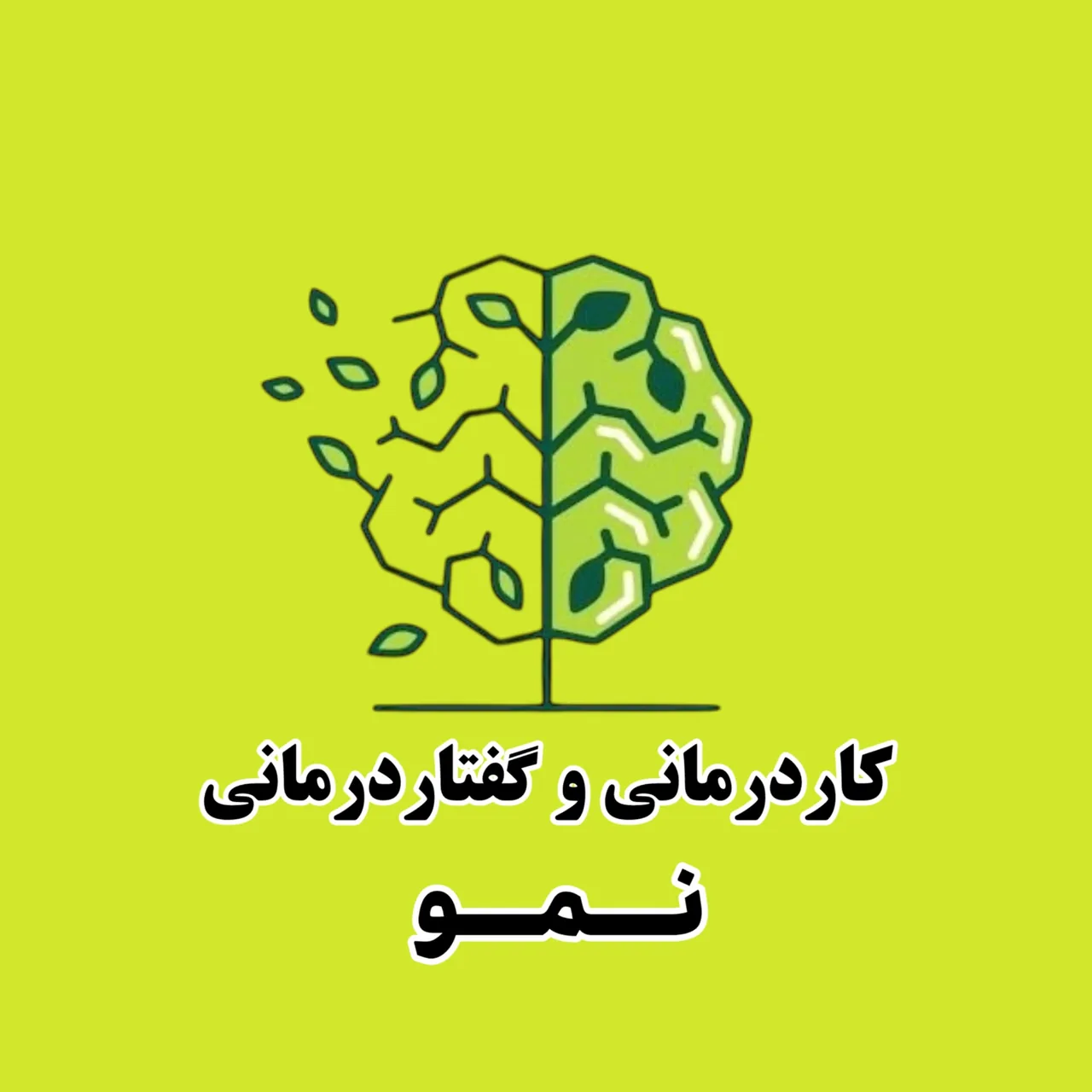 کلینیک کاردرمانی و گفتاردرمانی نمو