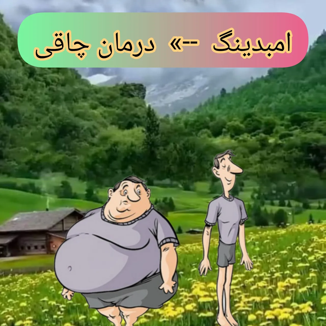 آموزش طب سوزنی سنتی قائم ، امبدینگ و NLP - تصویر 3