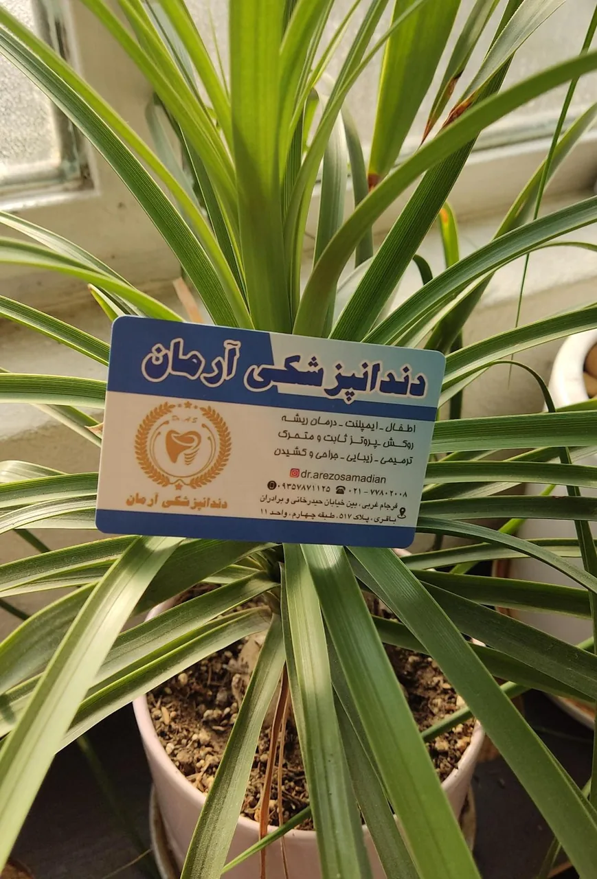 دندانپزشکی آرمان - تصویر 2