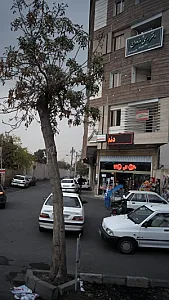فرزانه حسینی نصب