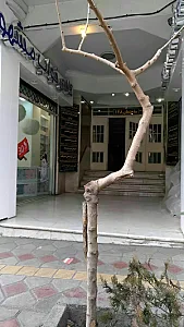 موسسه تصویربرداری دکتر معصومه گیتی