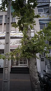 مرکز درمان و بازتوانی وابستگی به مواد پل