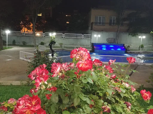 هتل بین‌المللی تبریز - تصویر 12