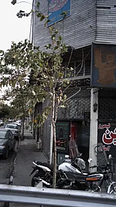 درمان اعتیاد