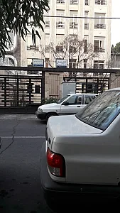 دکتر علیرضا فروتن